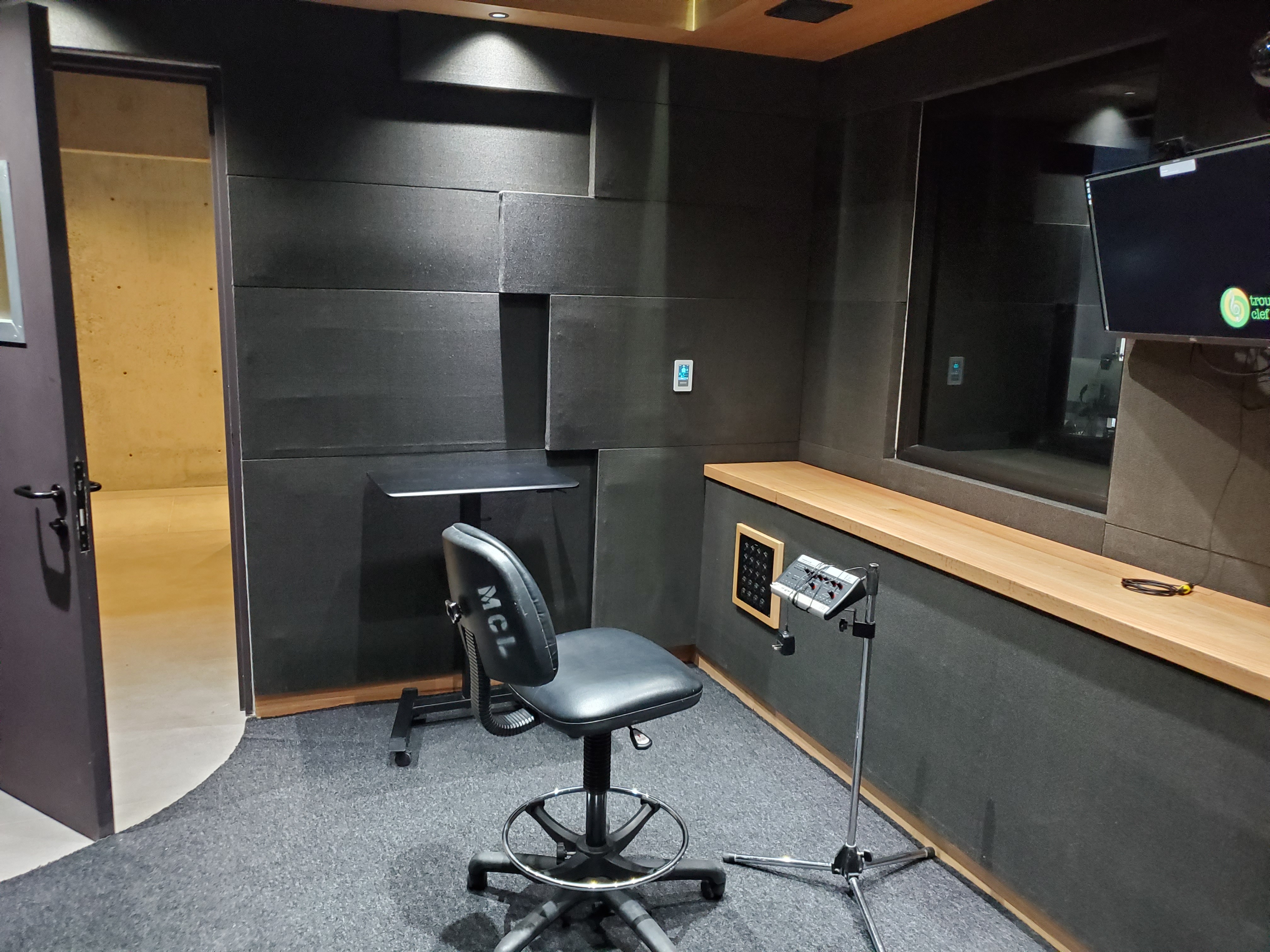 Voice over talent audio book narration